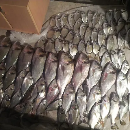 דירה Sobin 1 Kaštela